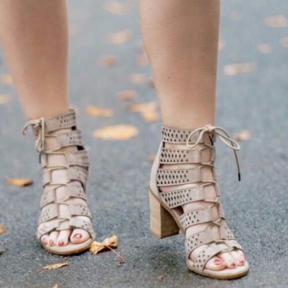 Steve Madden Shoes - Steve Madden Taupe Lace Up Delphine Sandals